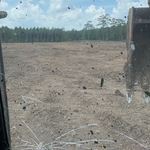 Previous Jobs