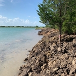 Pond Extention with beach