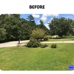 Mulch Installation