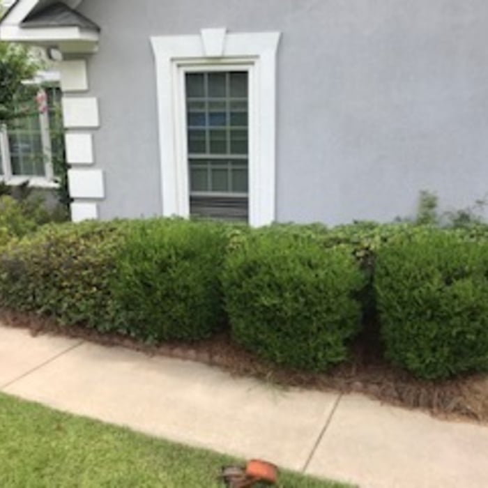 Mulch Installation