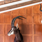 Tudor Wall Paneling