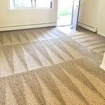 Carpet Cleaning