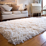 Shag Rug Cleaning