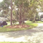 Driveway replacement
