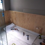 Bathroom b board & paint