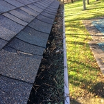 Autumn gutter cleaning