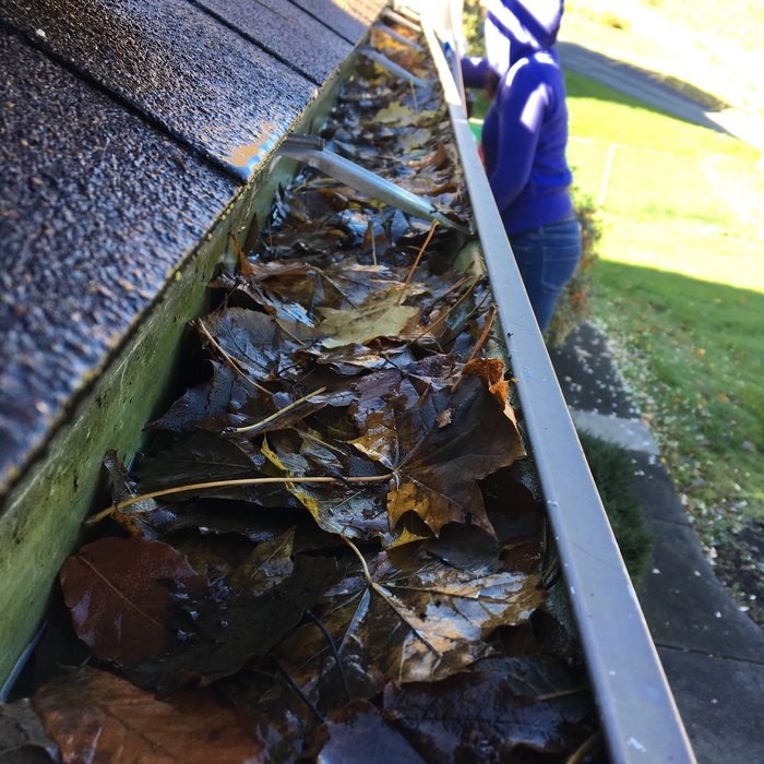 Autumn gutter cleaning