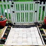 Small walkway and flowers