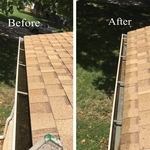 Gutter Cleaning
