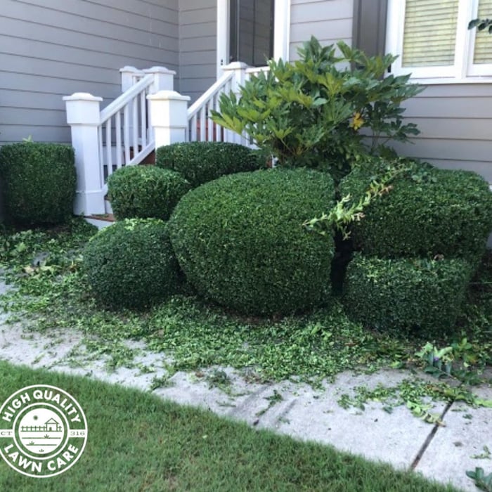 Bush Trimming