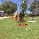 Creating Flower Beds