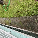 Pressure washing