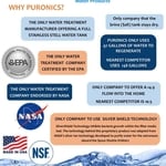 Pruonics