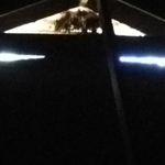 Bats