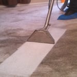 Carpet Cleaning