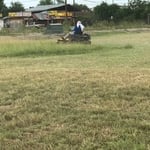 Lawn maintenance