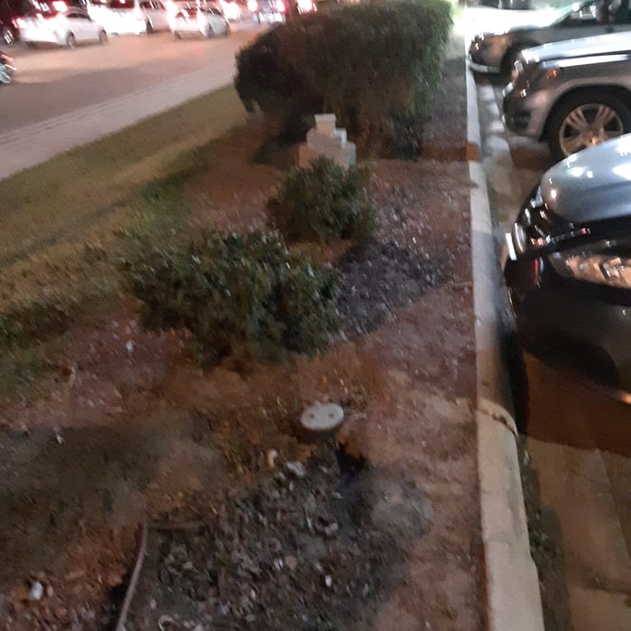 Shrub area