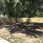 New wood fence and sod