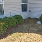 Landscaping Maintenance 02