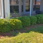 Landscaping Maintenance 01