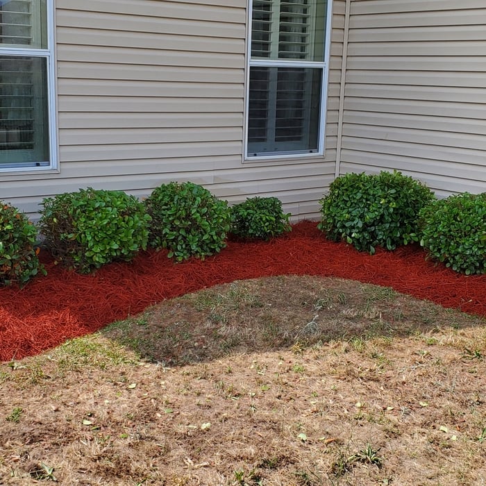 Landscaping Maintenance 02