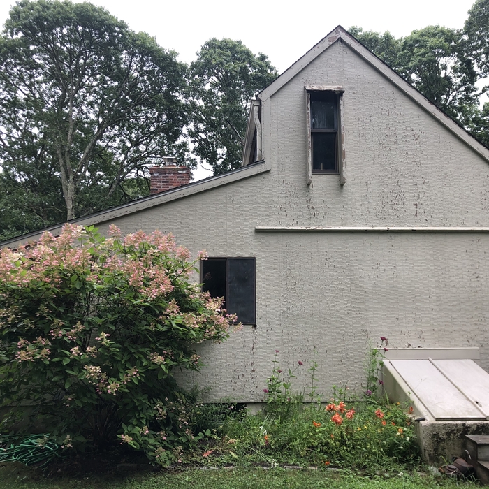 Windows and siding