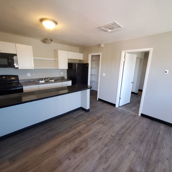 Renovated kitchen with black epoxy countertop
