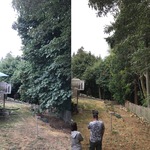 Before and After