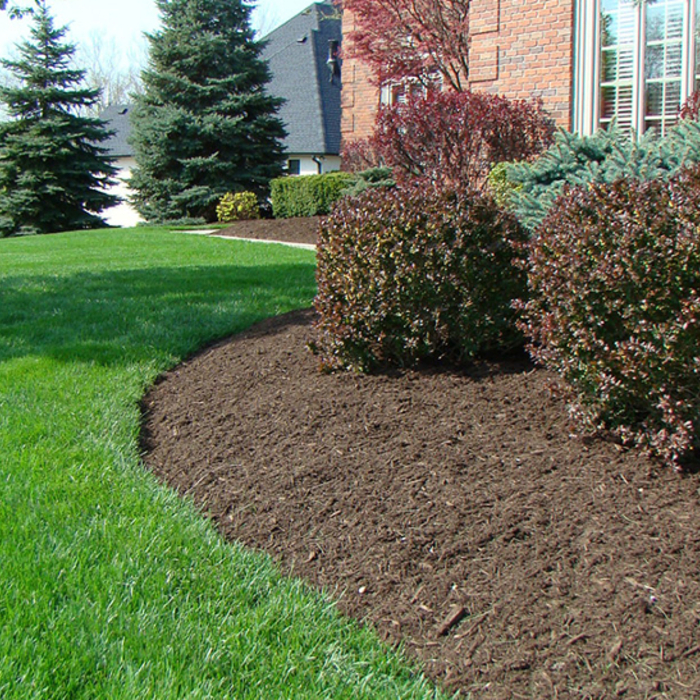 Mulching and Shrubbery