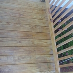 Cedar Tone