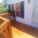 Cedar Tone