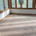 Carpet