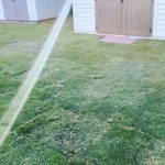 Landscape and irrigation