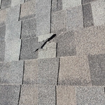 Damage Roof Shingles
