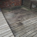 Bellvue Deck Stained