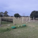 setting posts