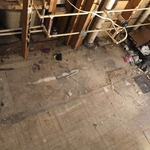 Kitchen tear out