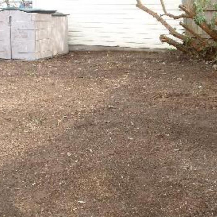 moved shed
