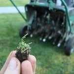 Aeration Services