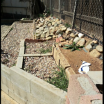 landscaping and gardening services