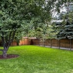 Backyard with Sod