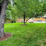 Modern Backyard Makeover