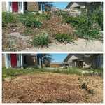 Stump Removal