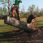 Stump Removal