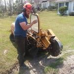 Stump Removal