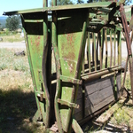 Cattle Shoot