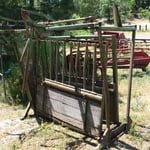 Cattle Shoot
