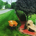 Commercial landscaping