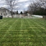 After dethatch