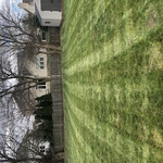 View from back door
